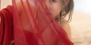 杨晨晨 (1)
